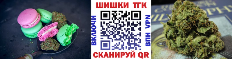 Купить где  Углегорск  Canna-Cookies конопля 
