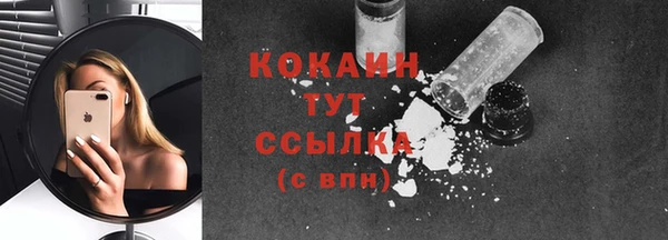 мдпв Каменка