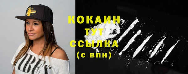 мдпв Каменка