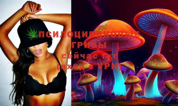мдма Каменногорск