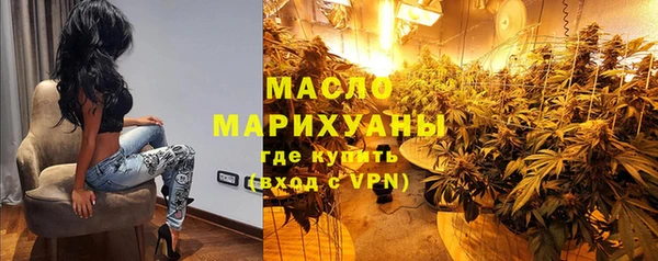 мдпв Каменка