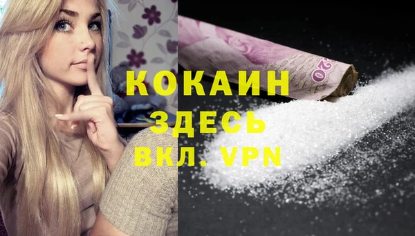 мдпв Каменка