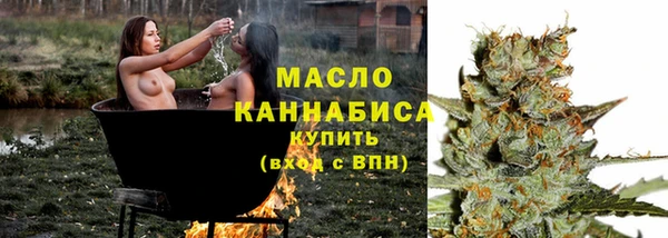 хмурый Нестеровская