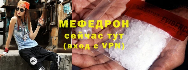 мдпв Каменка