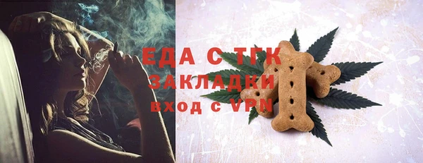 мдпв Каменка